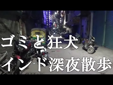 吠える野犬に大量のゴミ。これが深夜のインドニューデリーの姿だった。