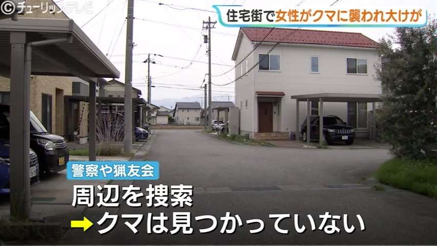 「女性の悲鳴と犬の鳴き声が…」犬の散歩中にクマ　40代女性が顔や首かまれる…海が近い住宅密集地に出没　富山