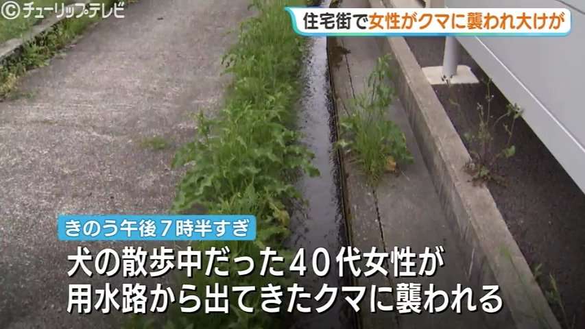 「女性の悲鳴と犬の鳴き声が…」犬の散歩中にクマ　40代女性が顔や首かまれる…海が近い住宅密集地に出没　富山