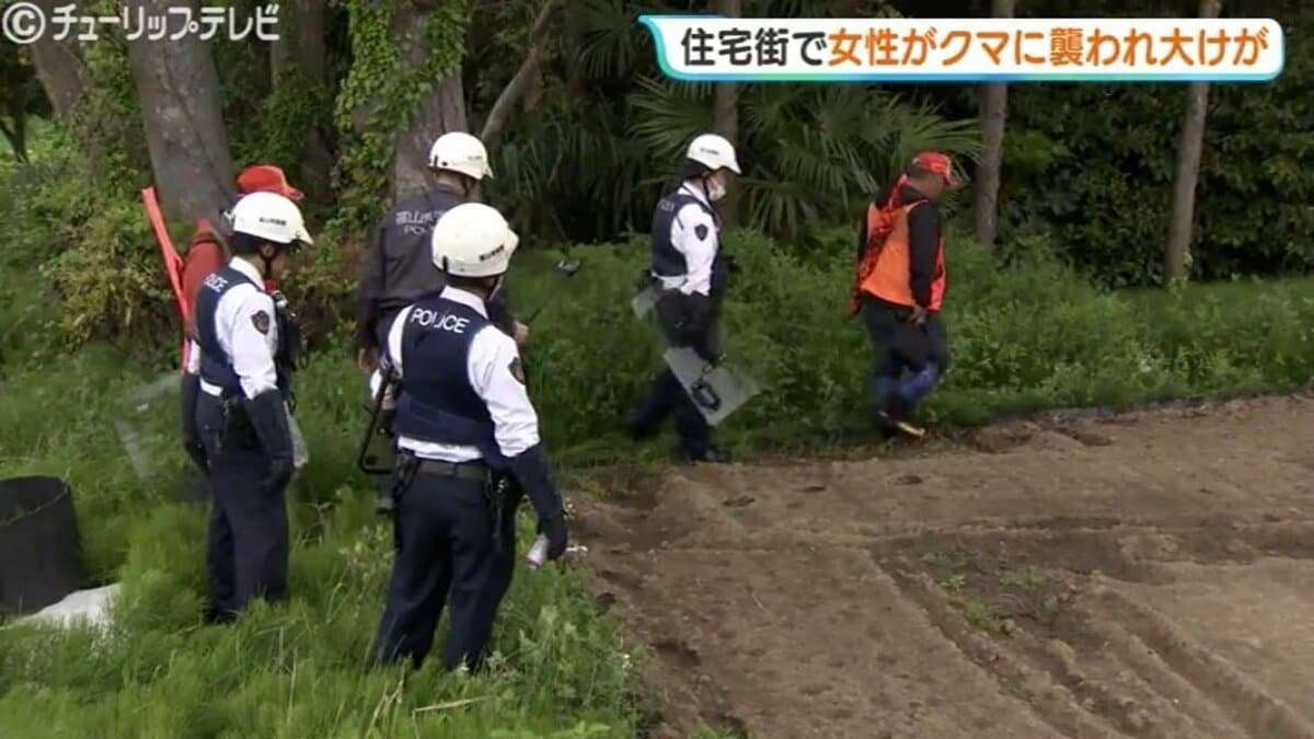 「女性の悲鳴と犬の鳴き声が…」犬の散歩中にクマ　40代女性が顔や首かまれる…海が近い住宅密集地に出没　富山 | 富山のニュース｜天気・防災｜チューリップテレビ