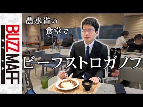 農水省食堂でビーフストロガノフを食らう。ﾀｶﾞﾔｾｷｭｳｼｭｳ