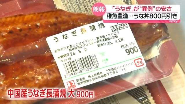 「うなぎ」が“異例”の安さ 稚魚豊漁…うな丼800円引きも この安さいつまで続く?