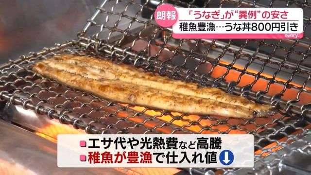 「うなぎ」が“異例”の安さ 稚魚豊漁…うな丼800円引きも この安さいつまで続く?