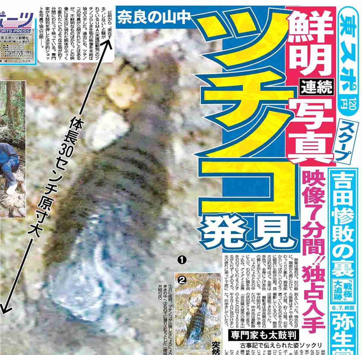 これ実際に見たことある？