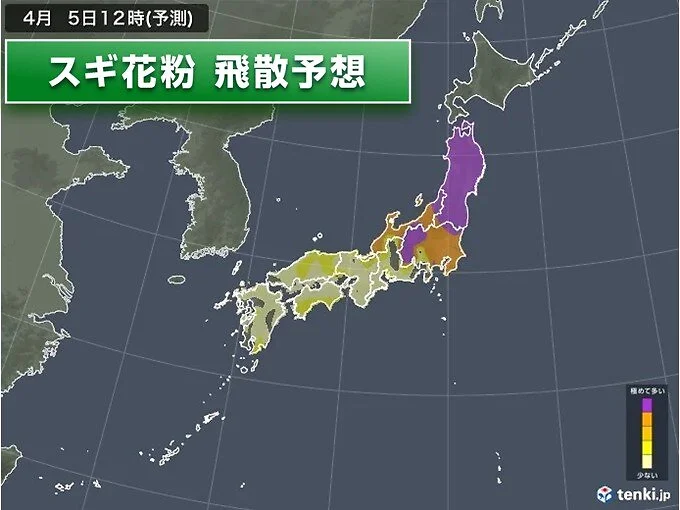 今日5日は雨上がり気温上昇で花粉が大量飛散　お花見は万全の花粉対策を