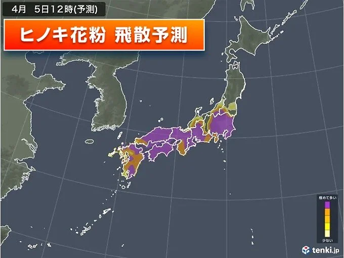 今日5日は雨上がり気温上昇で花粉が大量飛散　お花見は万全の花粉対策を
