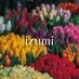 izumi オウカフル on X