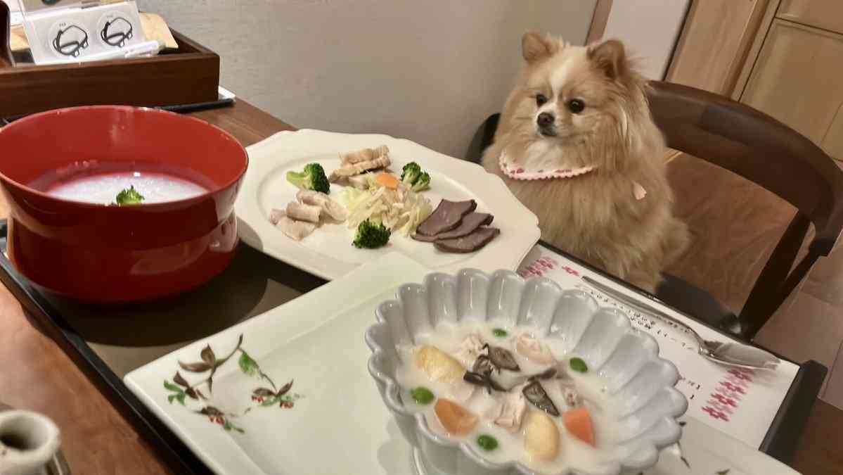旅館で「提供された食事を見た犬」がフリーズ…　「可愛い理由」にホッコリ
