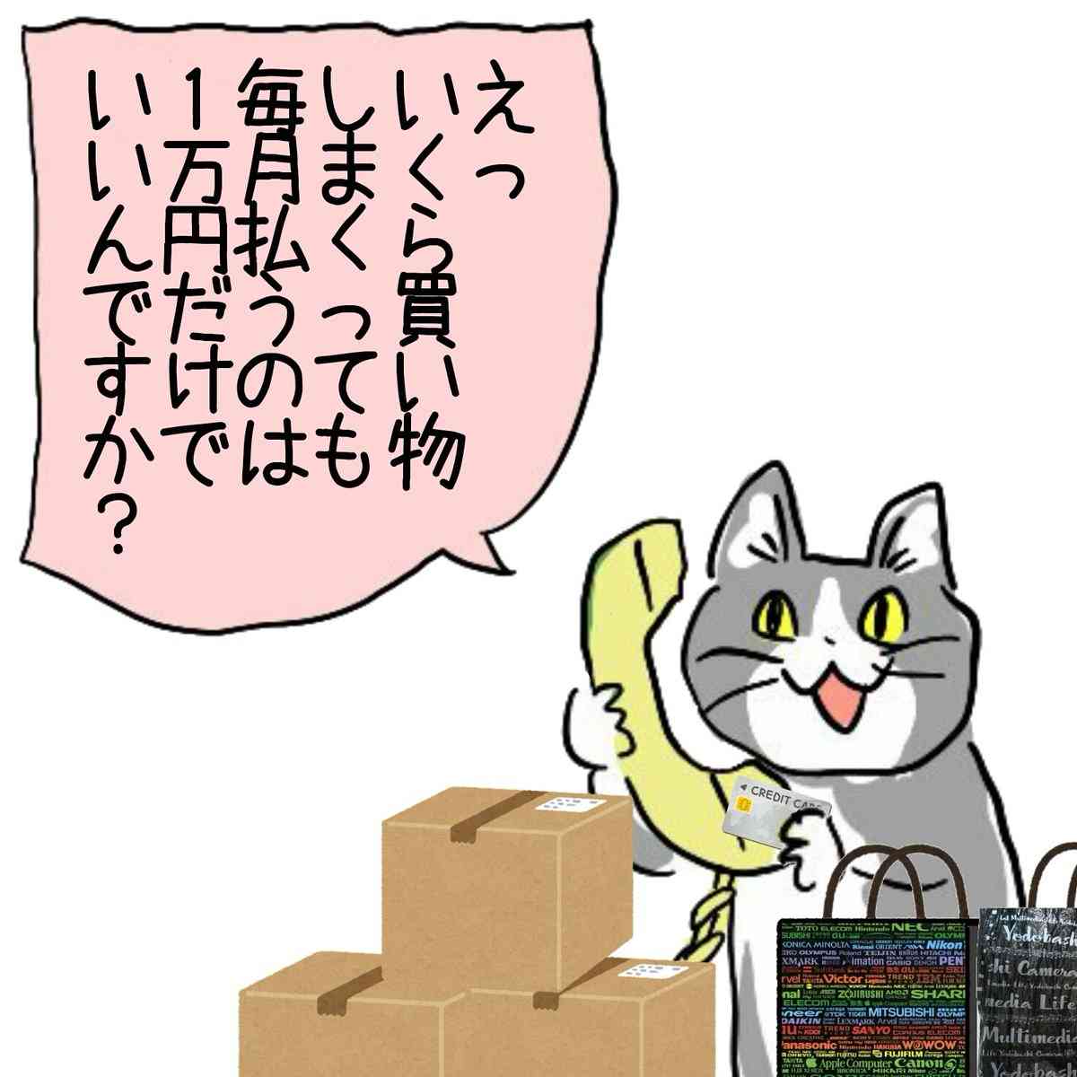 リボ払い経験者の方～