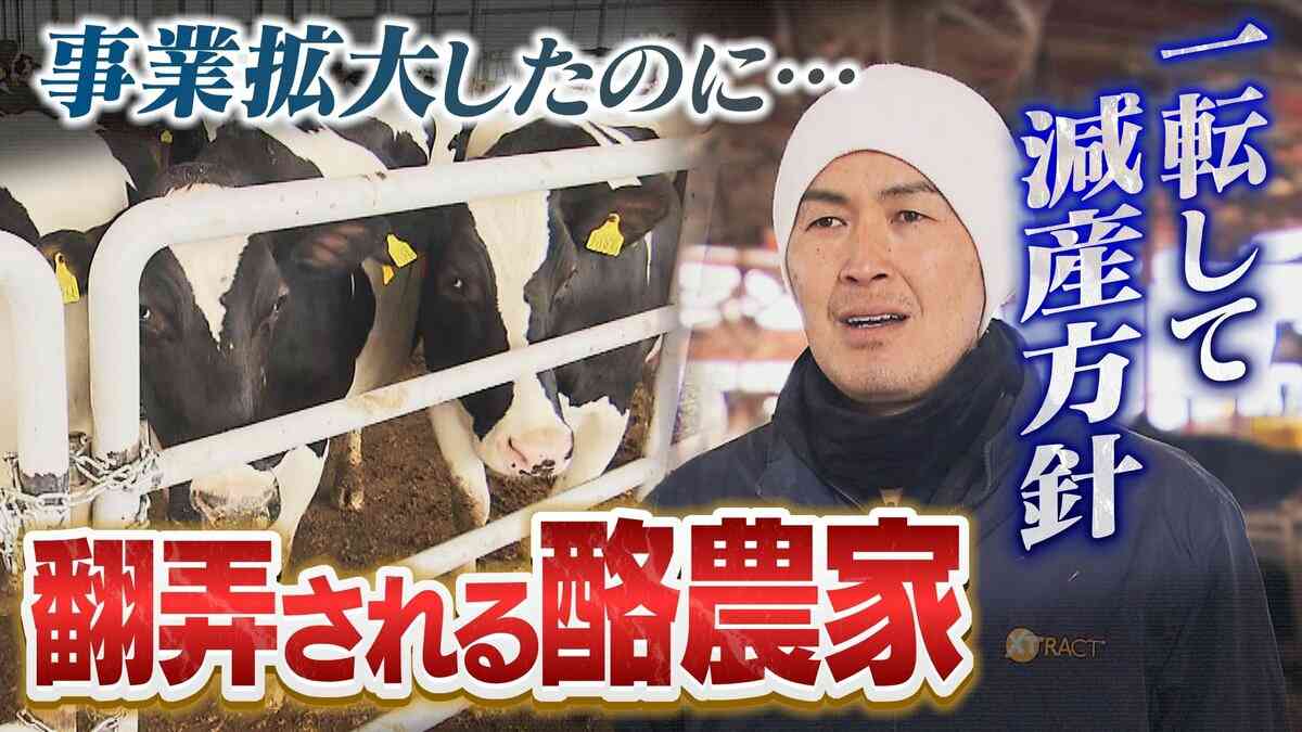 「あの目を見て、命なので、受け入れがたい」乳牛を食肉処理すれば補助金...減産方針に酪農家困惑「牛乳輸入は減らせない？」国に聞いてみると | TBS NEWS DIG (4ページ)