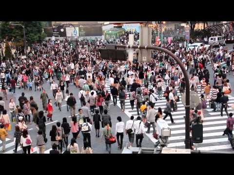 Shibuya Crossing Full HD 渋谷駅 東京