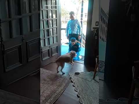 Astronaut Christina Koch’s heartwarming reunion with dog after lunar mission