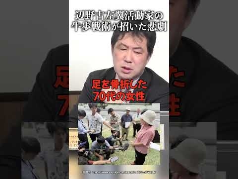 辺野古左翼活動家の牛歩戦術が招いた悲劇 #三枝玄太郎 #山岡鉄秀