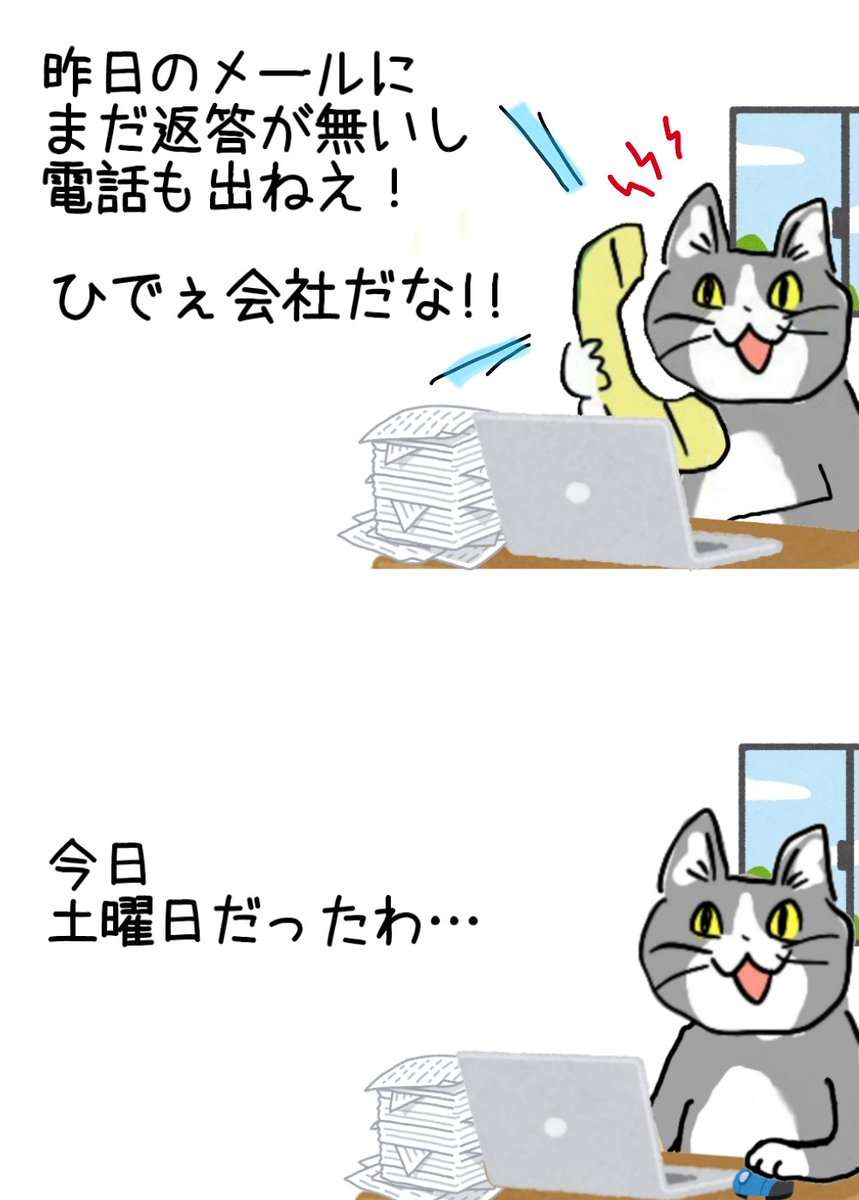 現場猫を見て癒されたい!Part10