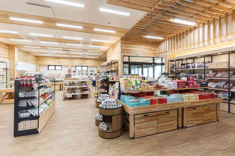 熊本県を制覇する旅に出ます