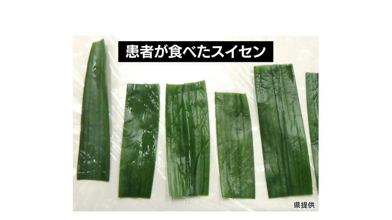 「スイセン」食べて食中毒…30代から80代までの男女5人「ニラ」と間違え調理　臭いと葉の違いに注意！