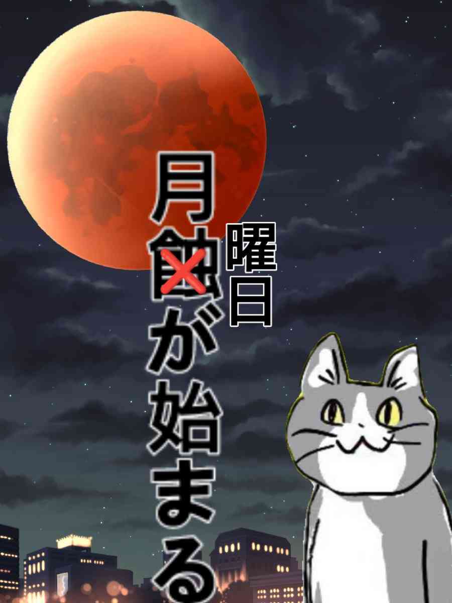 現場猫を見て癒されたい!Part10