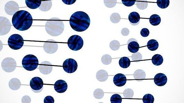 後天的に獲得された形質は、次の世代へと遺伝する──「エピジェネティクス」の謎を独科学者らが解明 | WIRED.jp