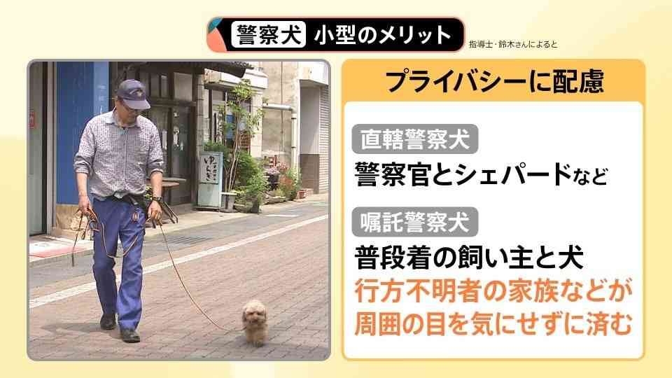 ポメラニアンが警察犬に 宮崎県内初 小型犬ならではの特長を生かして