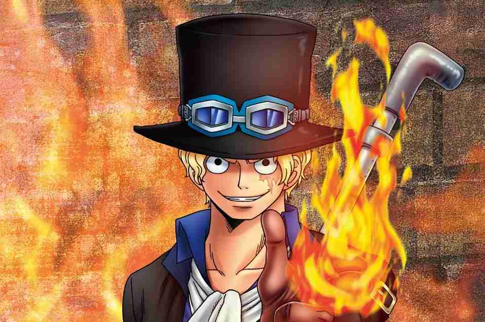 【ネタバレ注意】初期にワンピース脱落した人が知ったら驚きそうなことPart8【ONE PIECE】