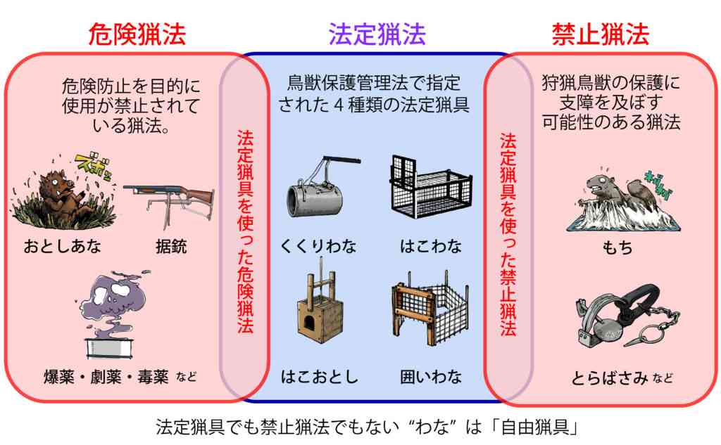 東大卒の女子アナ まさかの狩猟免許取得 普通免許以来の国家資格が衝撃的 猟友会所属プランも明かす