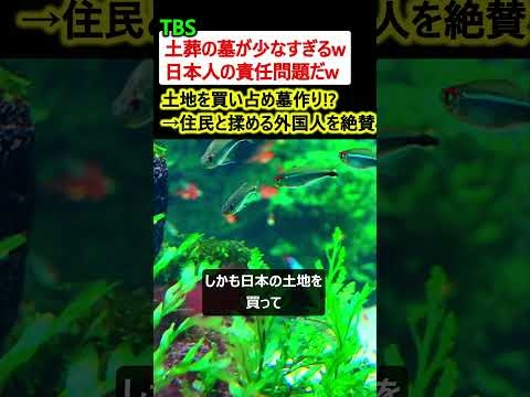 【は?】TBS「日本に土葬の墓がないのは日本人の責任問題w」→土地を買い占め墓作り!? 迷惑行為を絶賛