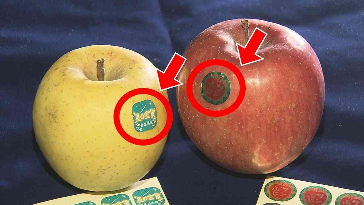 シールブームがリバイバルでまさかの脚光　リンゴの品種示す「りんごつぶつぶシール」が“ボンボンドロップ級”に話題！？　SNS投稿いいね3万超　ホームセンターなどで販売のシールがお土産店の人気商品になったワケ | TBS NEWS DIG (1ページ)