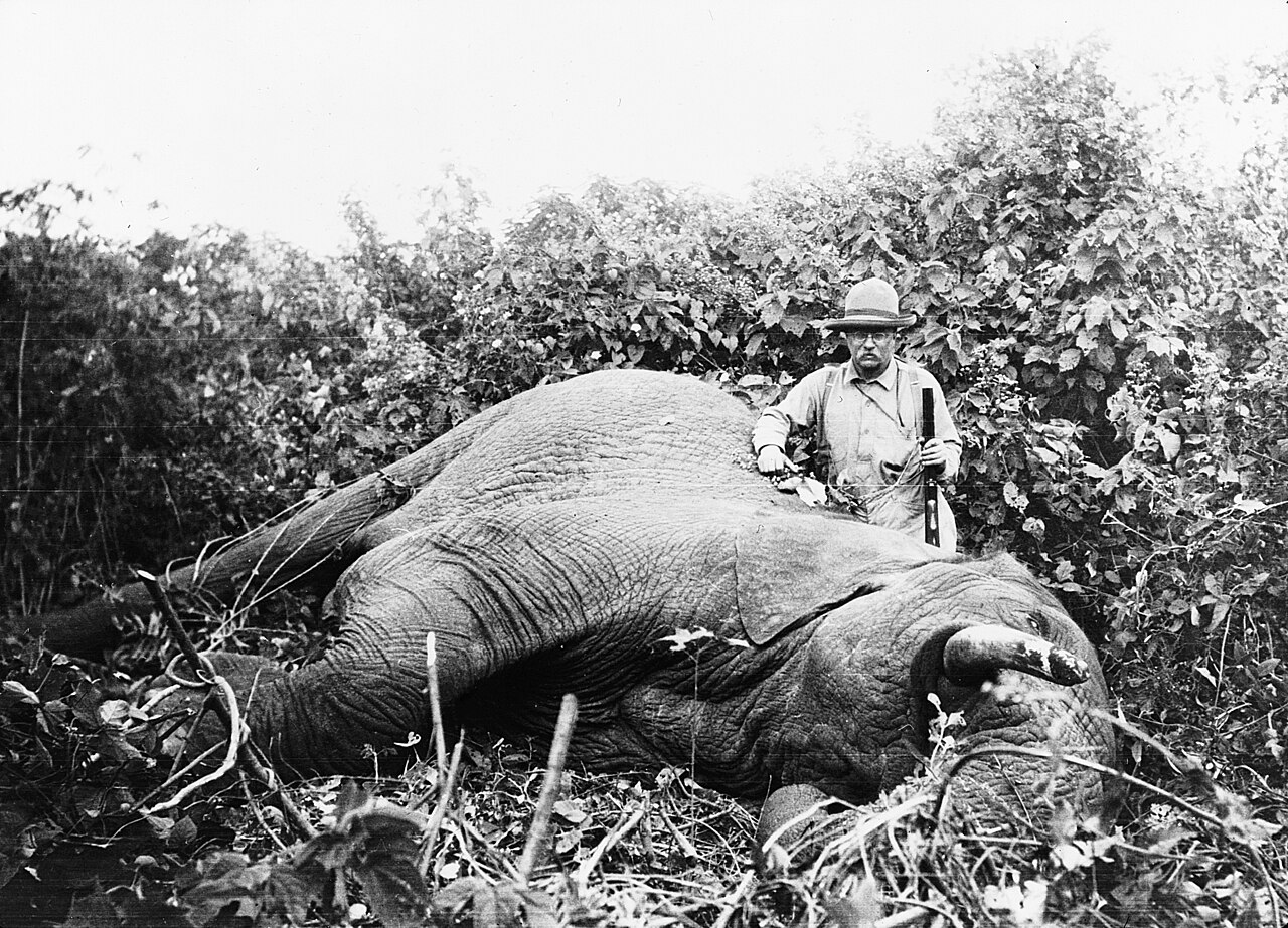 Trophy hunting - Wikipedia