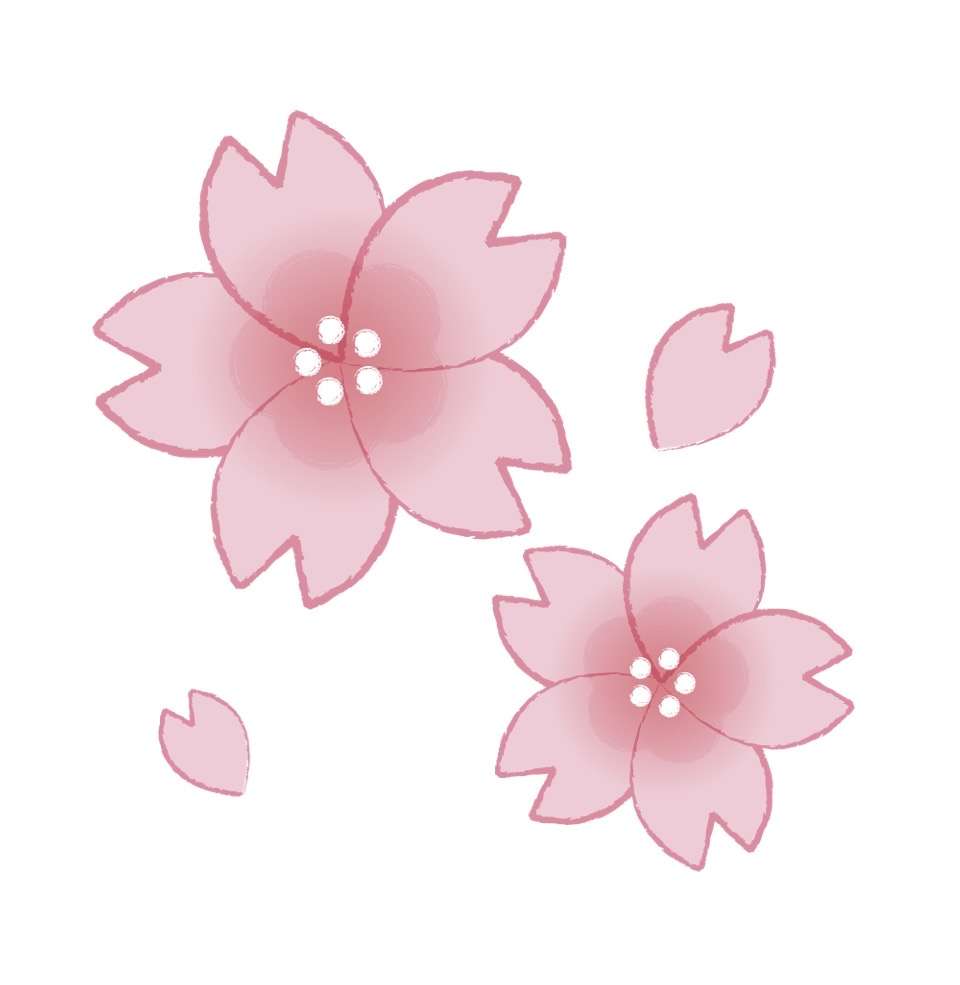 子供が支援学校、支援学級に通うママたち