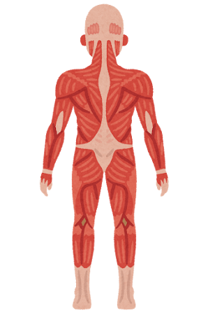 人間にアップデートで追加してほしい機能