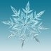 snow crystal on X