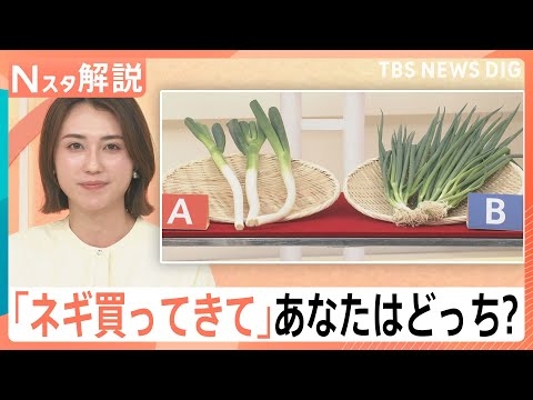 「ネギ買ってきて」あなたは白・青どっち？ 出荷量アップ！冬よりお手頃「2～3割安い」【Nスタ解説】｜TBS NEWS DIG
