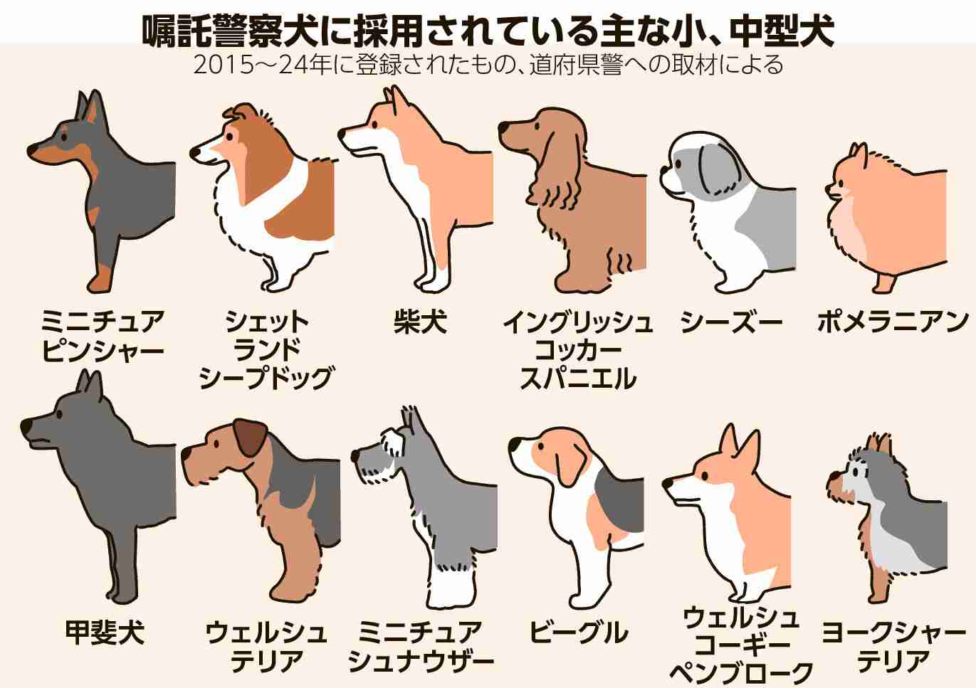 警察犬デビューするシェパード、ちょっぴり不安？しがみつく様子に「緊張してる」「頑張って」の声