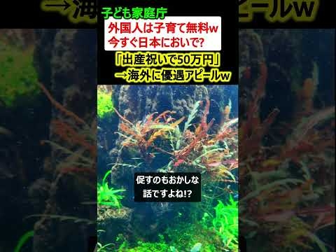 【は?】子ども家庭庁、海外に外国人優遇アピール→「子育て無料w 出産祝いで50万円w」