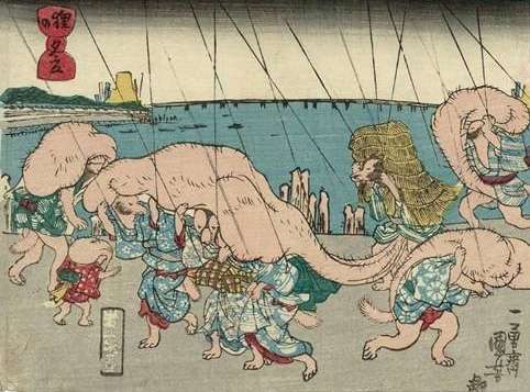 たぬき!狸!Tanuki!Part8