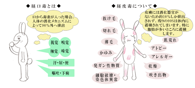 アトピーの人ちょっと来て〜