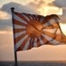 愛國尽誠社??Riot for Japan on X