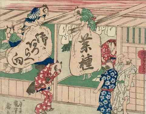 たぬき!狸!Tanuki!Part8
