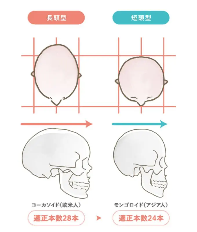 小顔の芸能人・有名人