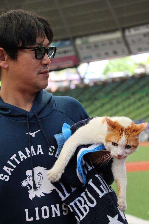 【西武】ネコが球場侵入で若獅子の顔ゆるむ　本拠地ベルーナドーム２軍戦にリアル「べるーにゃ」