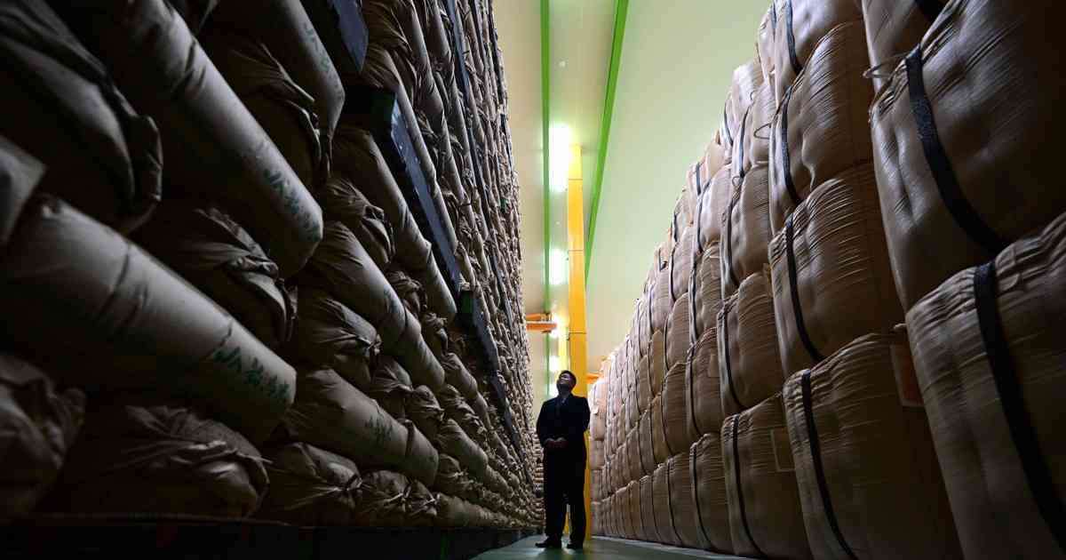 農水省、放出した備蓄米15万トンを買い戻しへ　買い入れも再開