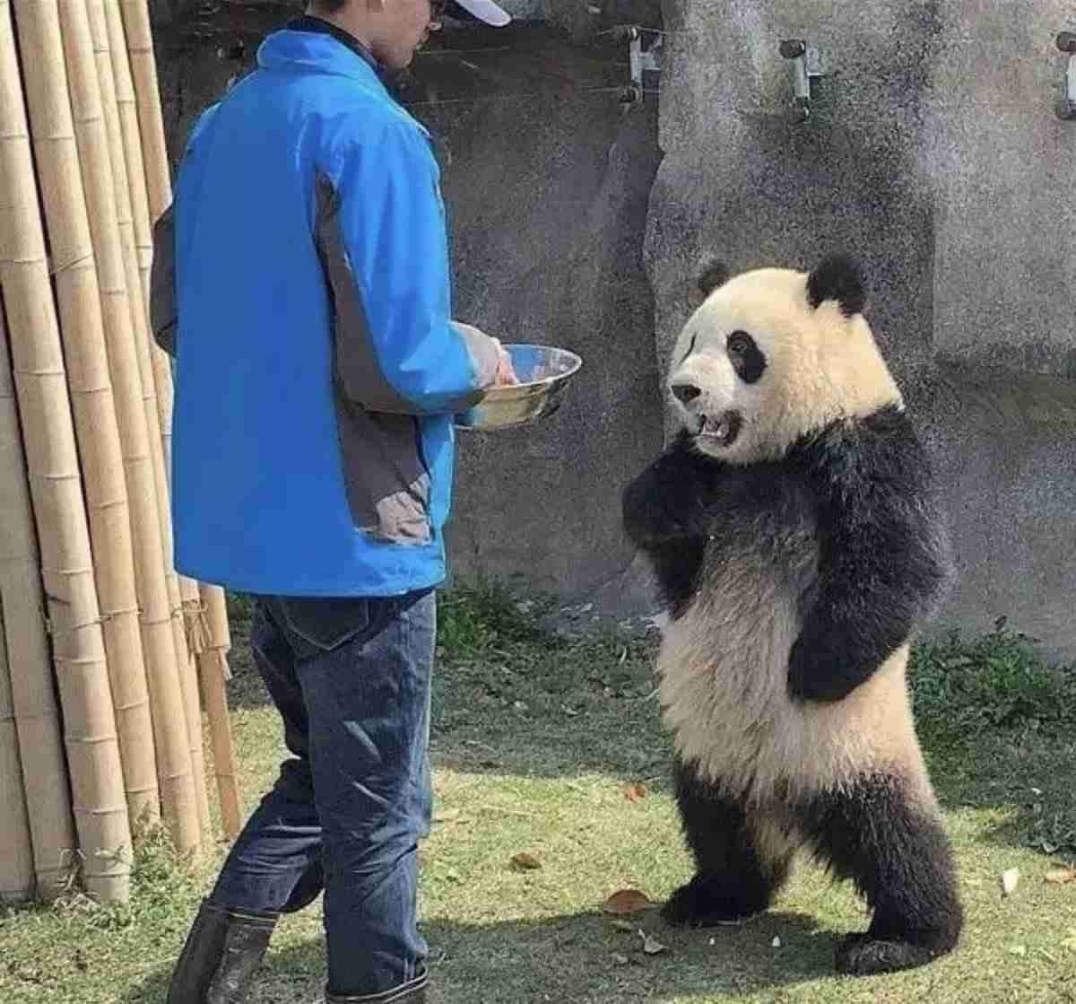 がるちゃん動物園