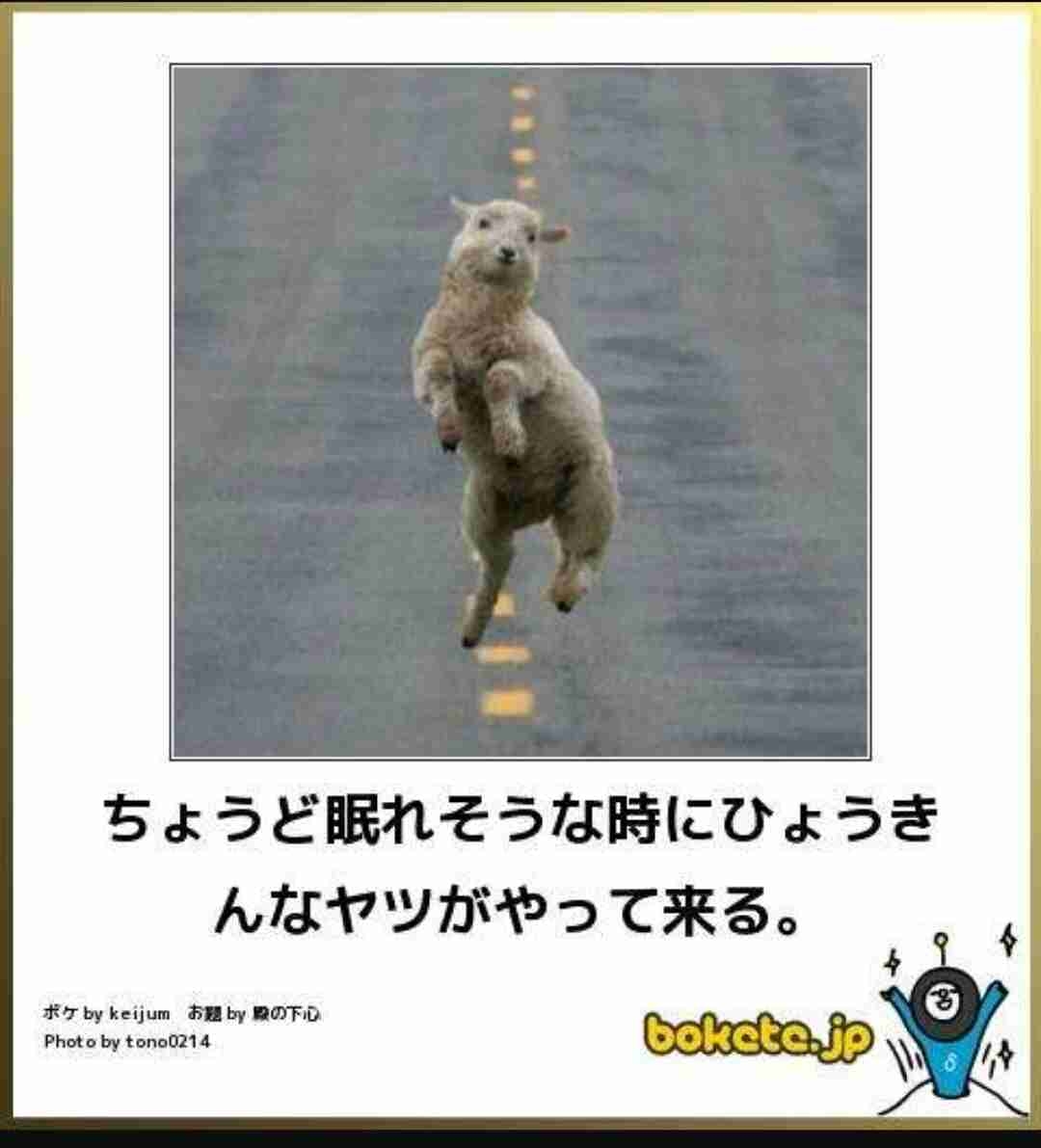 寝る前にクスッとする画像part9