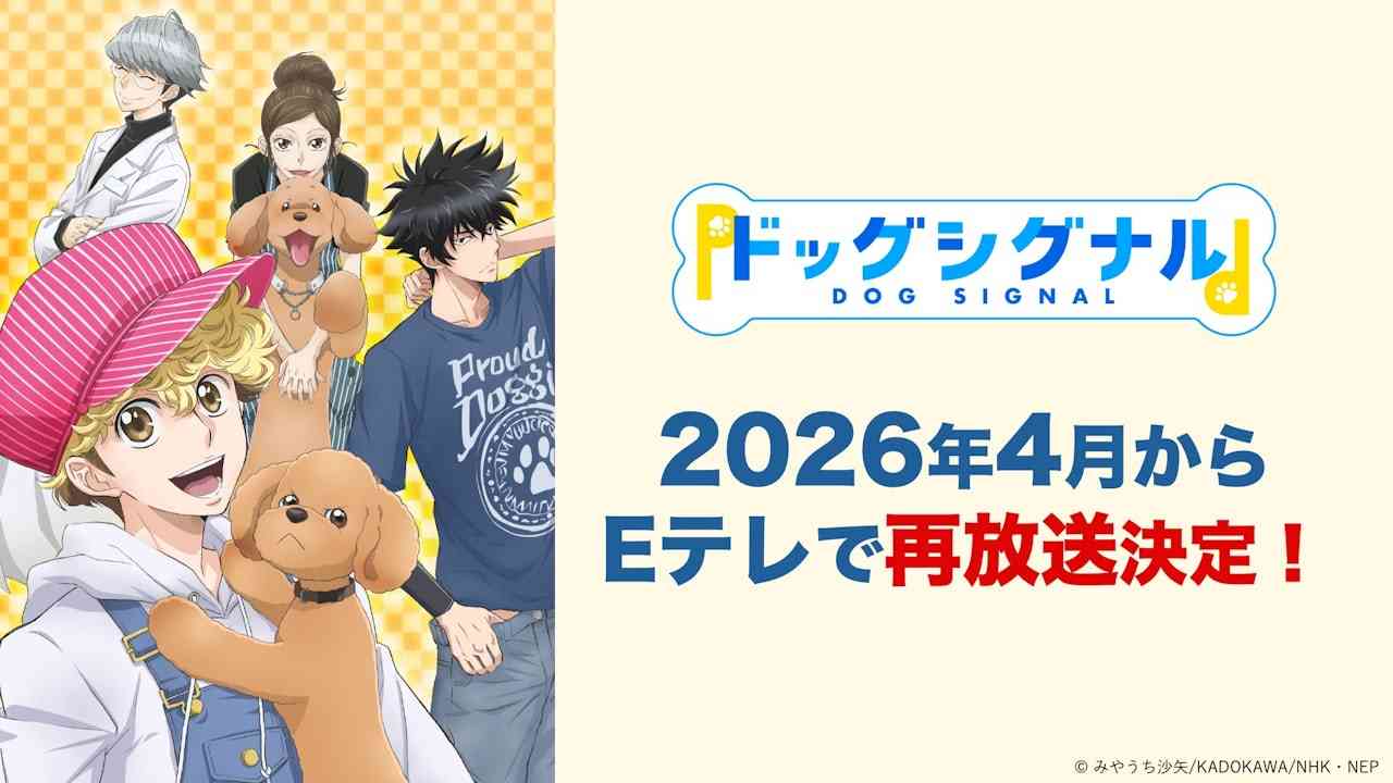 アニメ「ドッグシグナル」 2026年4月から再放送決定！ - NHK