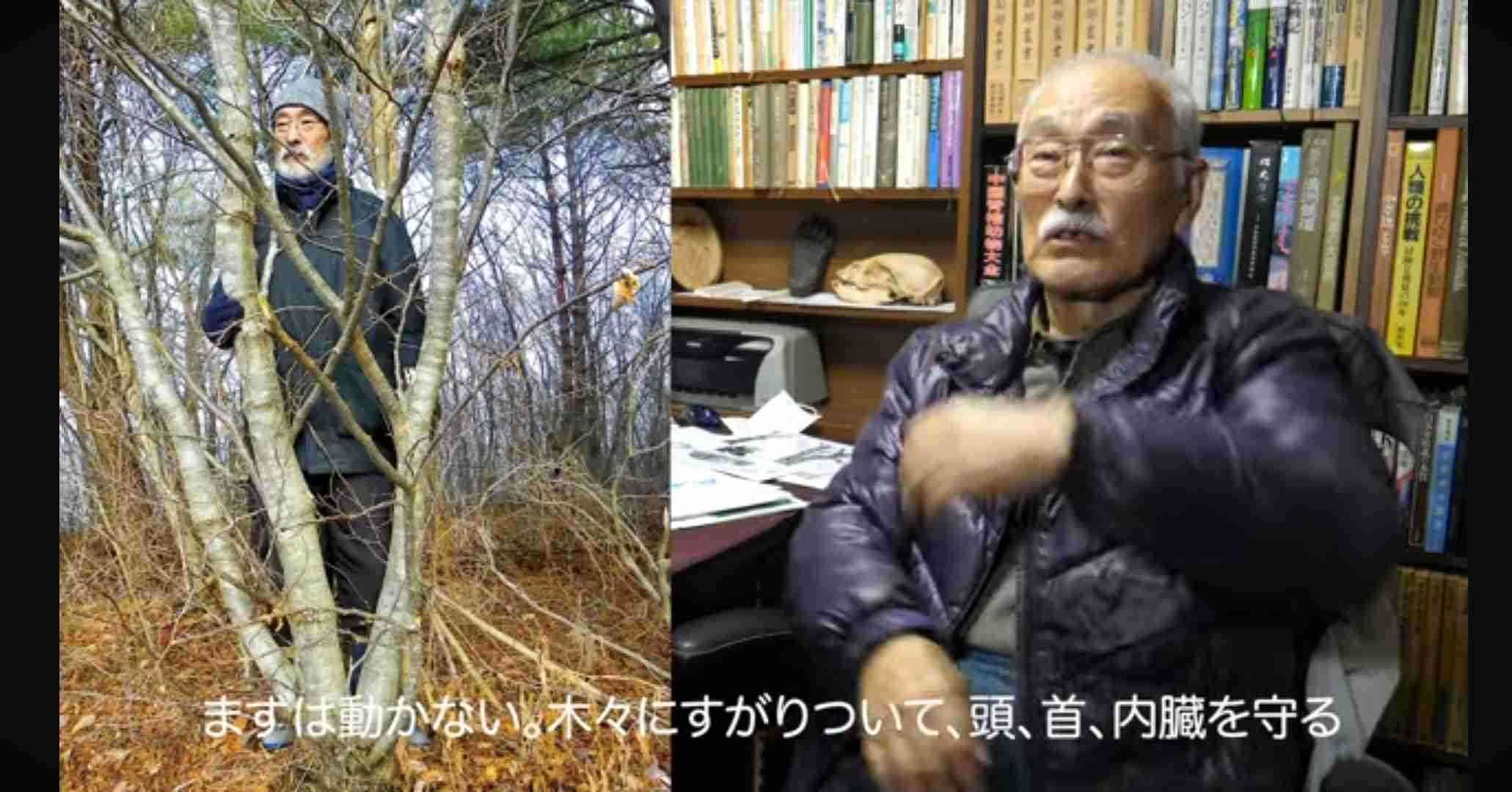 熊と出会ったらどうするか