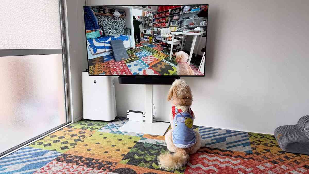 ｢狭小住宅が若者に大人気！｣とメディアが盛んに報じているが…25m²･6畳1Kに夫婦で暮らす