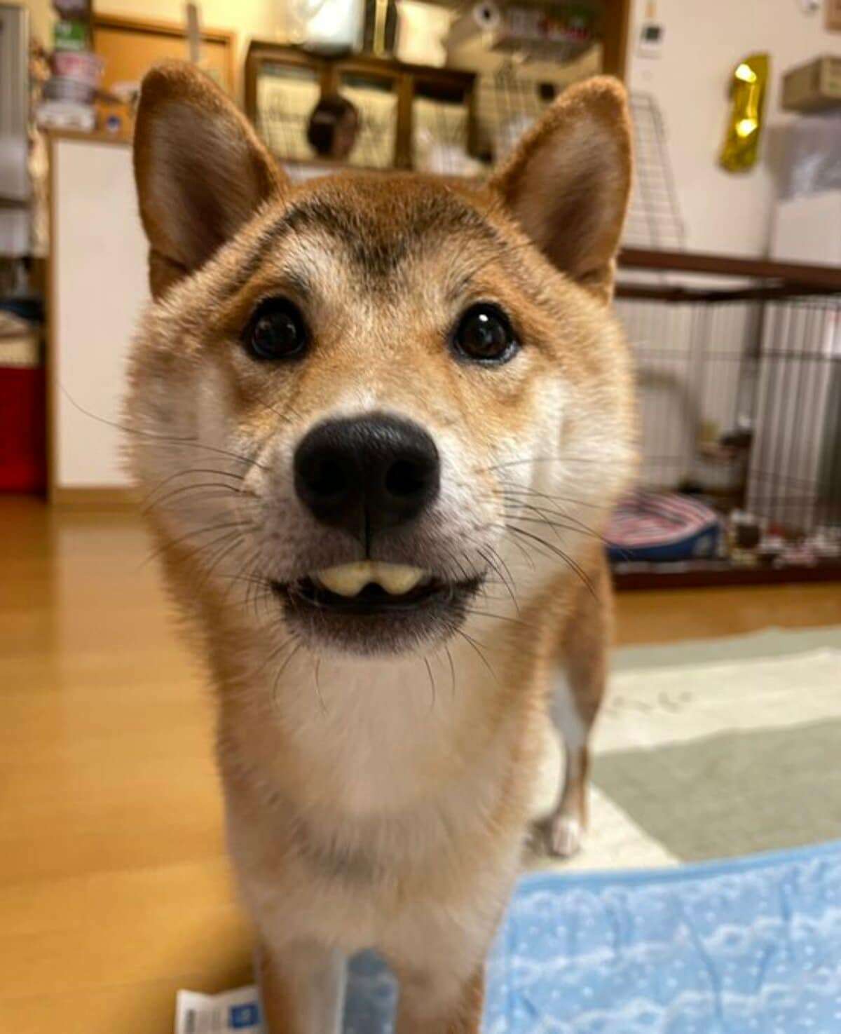 寝る前にクスッとする画像part9