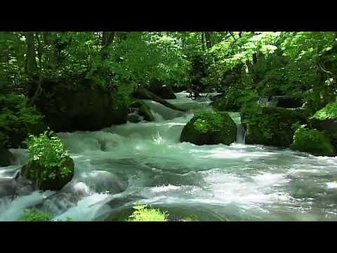 この国に生まれてよかった／村下孝蔵