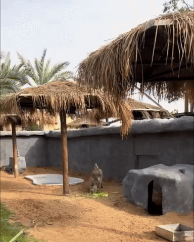 色んな平成レトロの画像が見たい