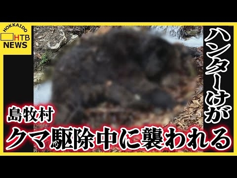 【緊迫】クマ駆除中に襲われハンターけが　斜面に現れた体長約2m、280kgのクマに覆われるように　島牧村